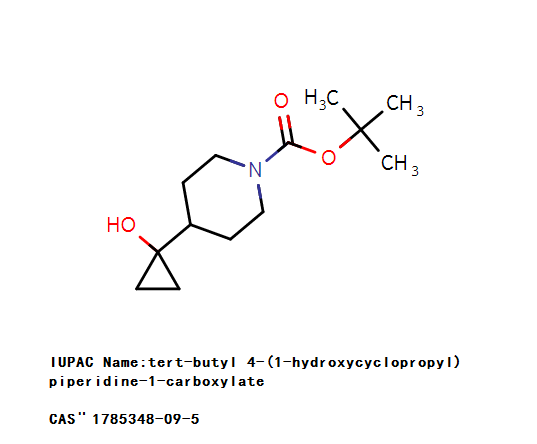 Application of Piperidine in Drug Molecular Design